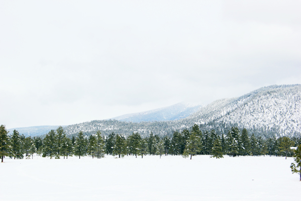 My Solo Trip to Flagstaff (www.laurelandfern.com)