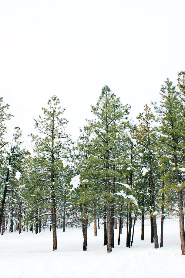 My Solo Trip to Flagstaff (www.laurelandfern.com)