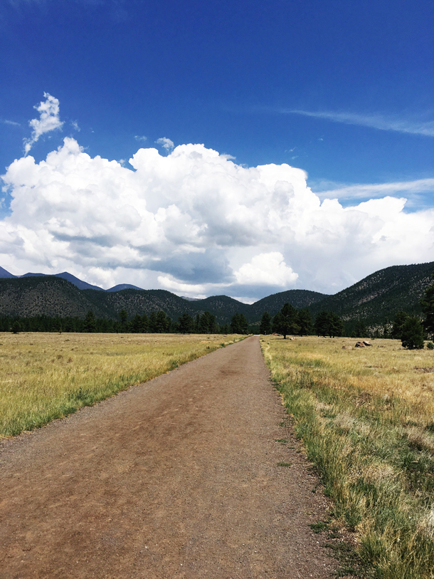 Daytrip to Flagstaff (laurelandfern.com)