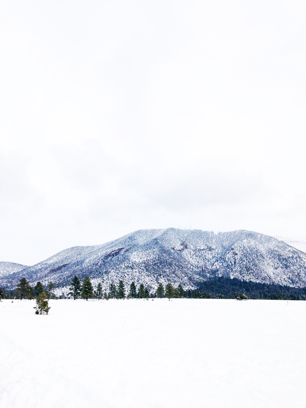 My Solo Trip to Flagstaff (www.laurelandfern.com)